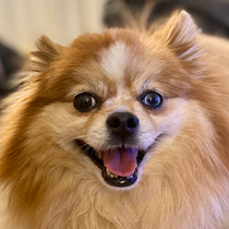 Baume & Mercier Capeland Chronograph 10000