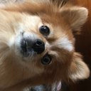 OMEGA Seamaster Aqua Terra 220.12.38.20.01.001